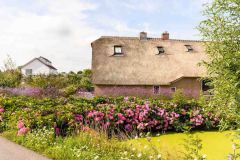 Floris-de-V-pad_5e-en-6e-etappe-6028