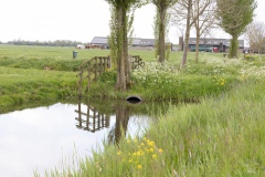 Floris-de-V-pad-7e-etappe.-34