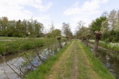 Floris-de-V-pad-7e-etappe.-35