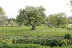 Floris-de-V-pad-7e-etappe.-36