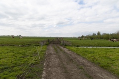Floris-de-V-pad-7e-etappe.-49