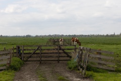 Floris-de-V-pad-7e-etappe.-50
