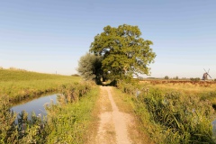 Floris-de-V-pad_8e-etappe-7633