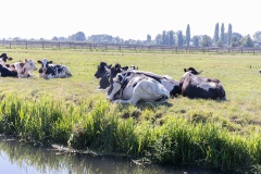 Floris-de-V-pad_8e-etappe-7659