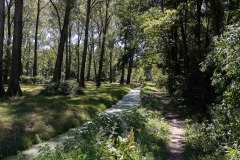 Floris-de-V-pad_8e-etappe-7676